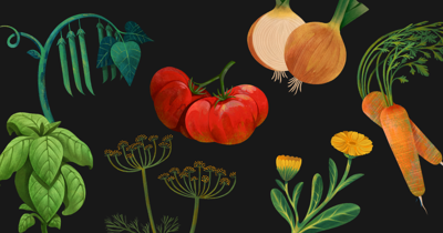 Seed Library Farmlib.Org Featured Image